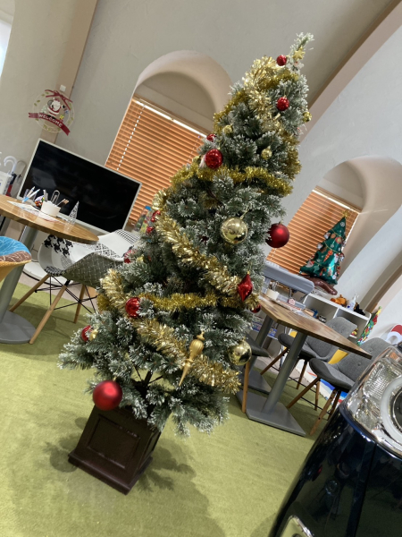 ドームもクリスマス仕様に🎄